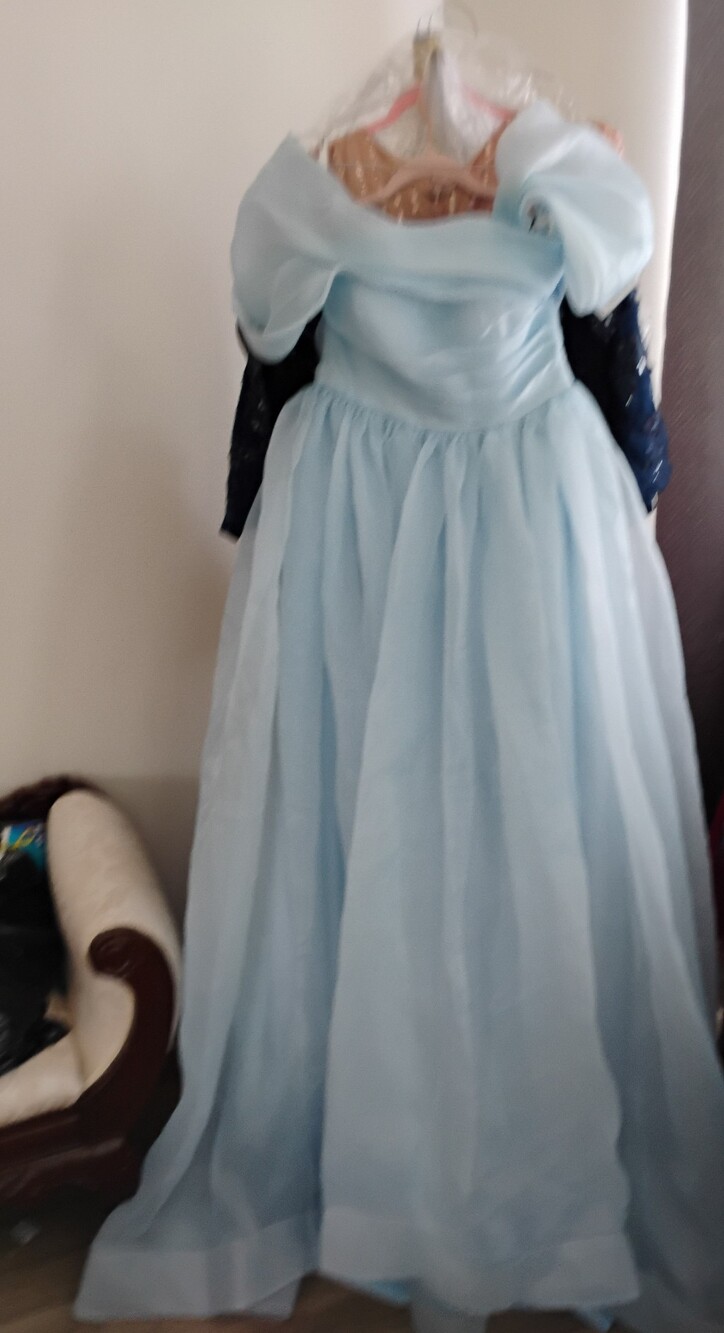 Light Blue Princess Ball Gown Kids Costume